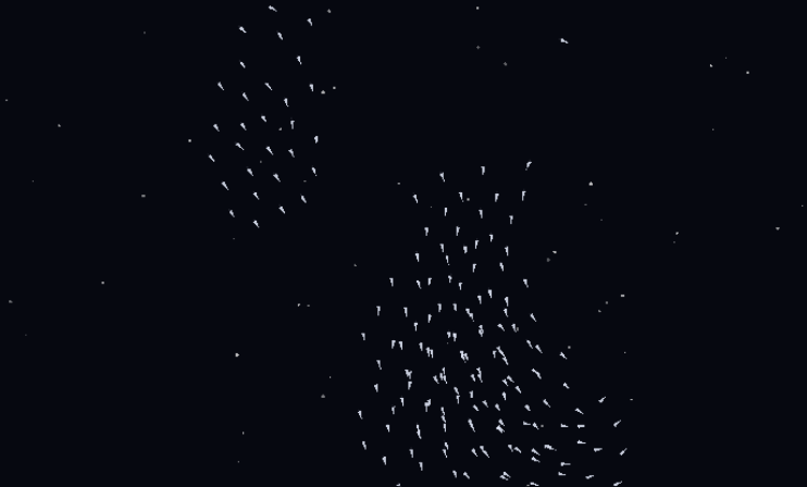 Murmuration